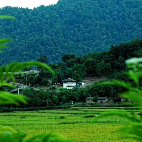 سفر به شمال در تابستان