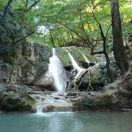 سفر به شمال در تابستان