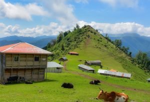 برای سفر به شمال کجا بریم
