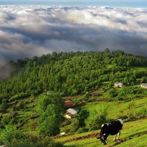 جاهای خنک شمال در تابستان